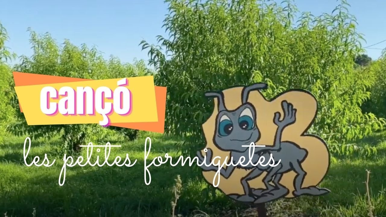 CANÇONS INFANTILS EN CATALÀ 🌞🌛🥁LES PETITES FORMIGUETES 🎼 😊- ART&SHOCK de Programa d'ArtiShock