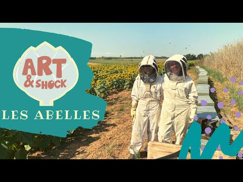 🍯 LES ABELLES 🐝 - ARTiSHOCK ❤️ VÍDEOS INFANTILS EN CATALÀ de Programa d'ArtiShock