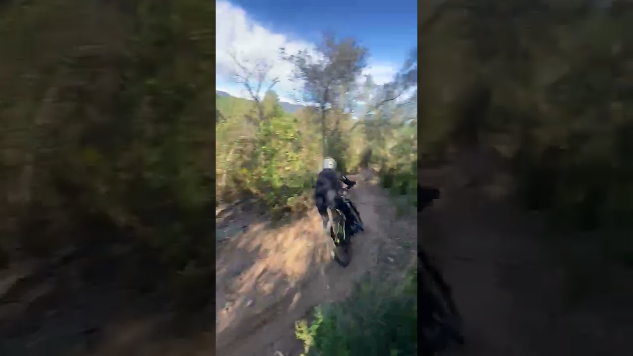 Velocity 🚀 #shorts #mtb de MikiMtb
