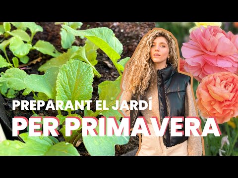 UN DIA DE JARDINARIA AMB MI | Plantant ranuncles, tulipes i mimant el jardí de Natàlia Möller