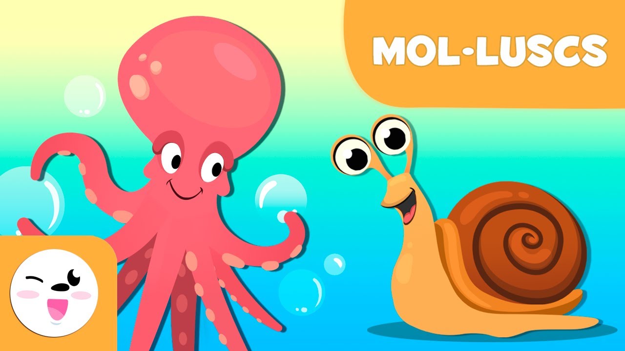 Els mol·luscs per a nens - Animals invertebrats - Ciències naturals per a nens en català de Smile and Learn - Català