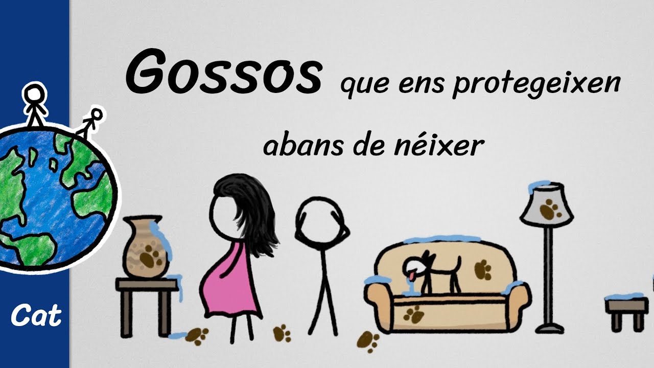 Com et protegeixen els gossos abans de néixer? de Minut de la Terra