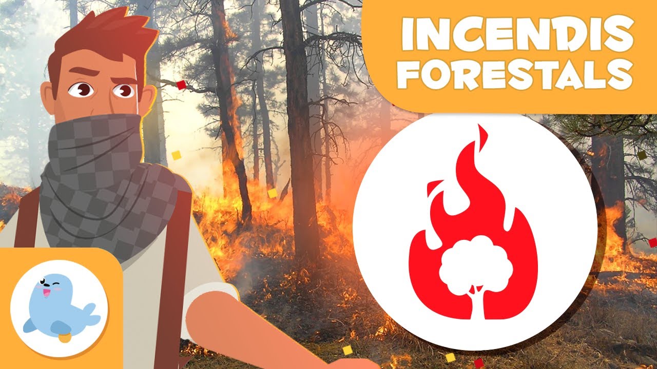 INCENDI FORESTAL 🔥🌲 Què és un incendi forestal? 👨🏻‍🚒 Desastres naturals en 1 minut en català de Smile and Learn - Català