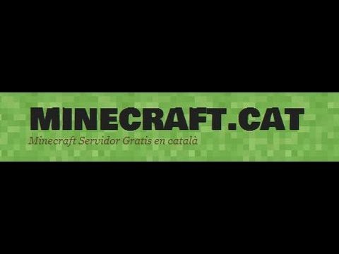 Obertura del servidor Minecraft.Cat de Dev Id
