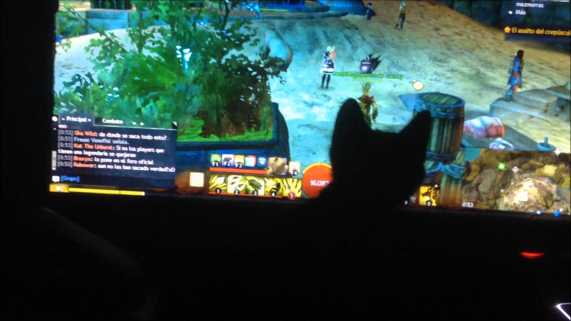 La nostra gata intenta caçar els personatges del GW2 de Arandur