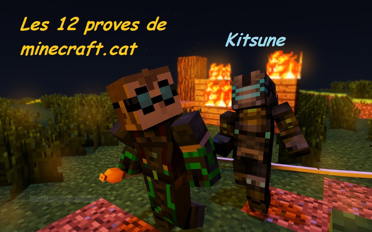Les 12 proves de minecraft.cat --Kitsune-- de Nil66