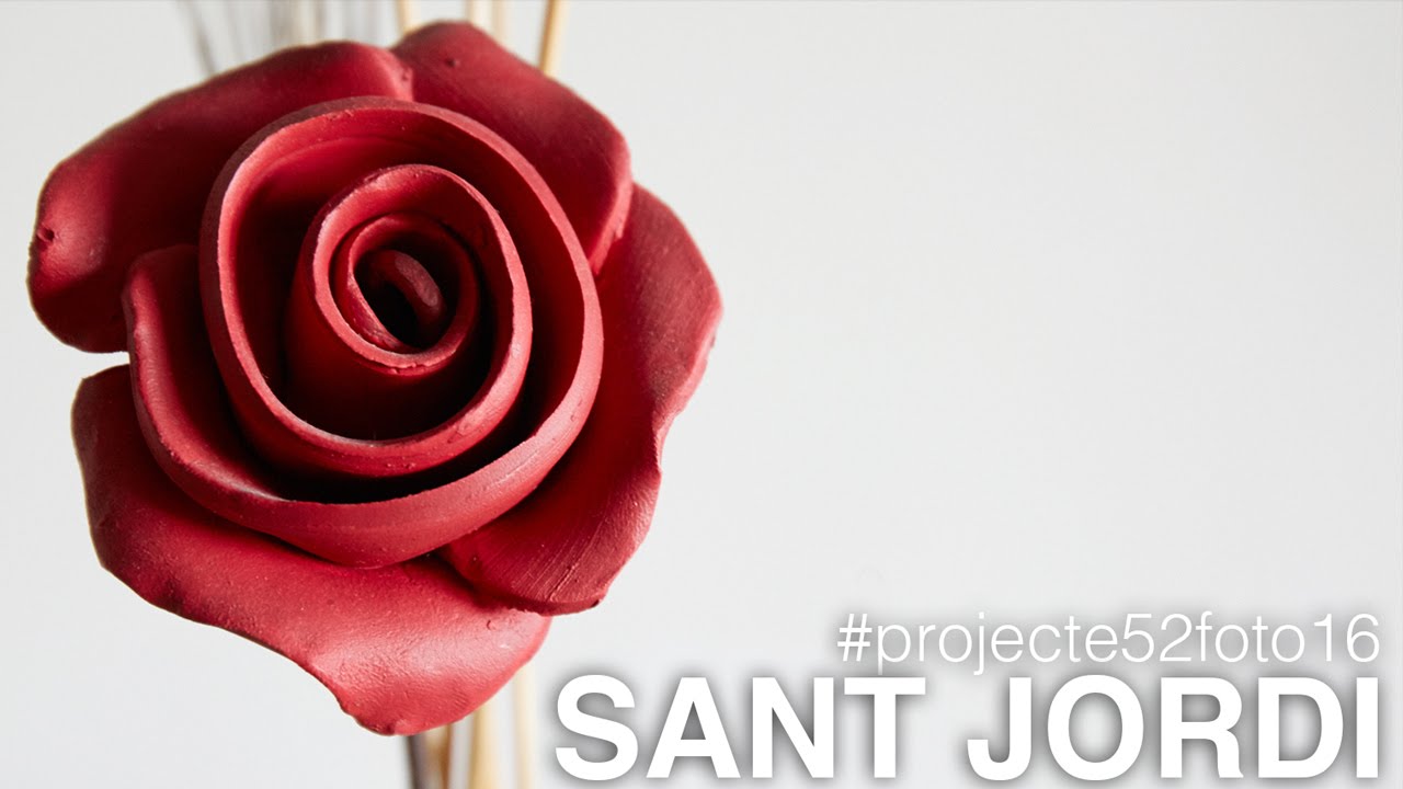 Sant Jordi | #16 | Projecte 52 | Fotografia en català de EnricPC