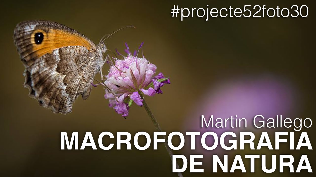 Macrofotografia de natura amb Martin Gallego | #30 | Projecte 52 | Fotografia en català de Algunes Històries dels Països Catalans