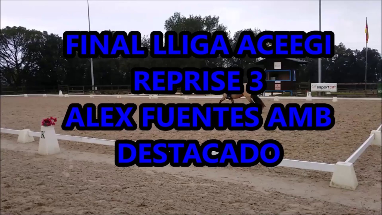 FINAL LLIGA ACEEGI 2016 REPRISE 3 | ALEX FUENTES AMB DESTACADO de Onyx330