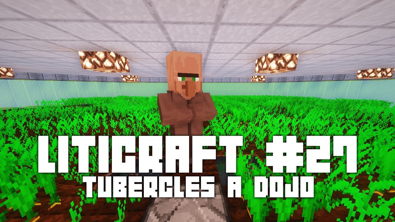 Liticraft #27 ​Tubercles a dojo - Minecraft 1.11 en català de AMPANS