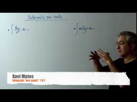 Integrals "per parts" ( II ) de Xavi Mates