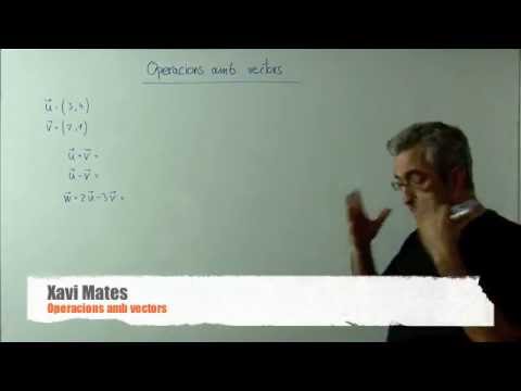 Operacions amb vectors (en 2 dimensions) de Xavi Mates