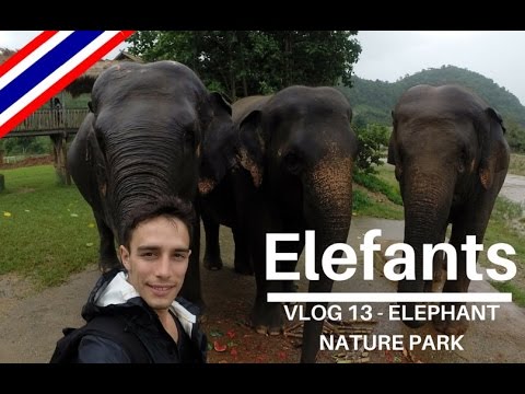 La reserva d'Elefants - Vlog 13 de AMPANS