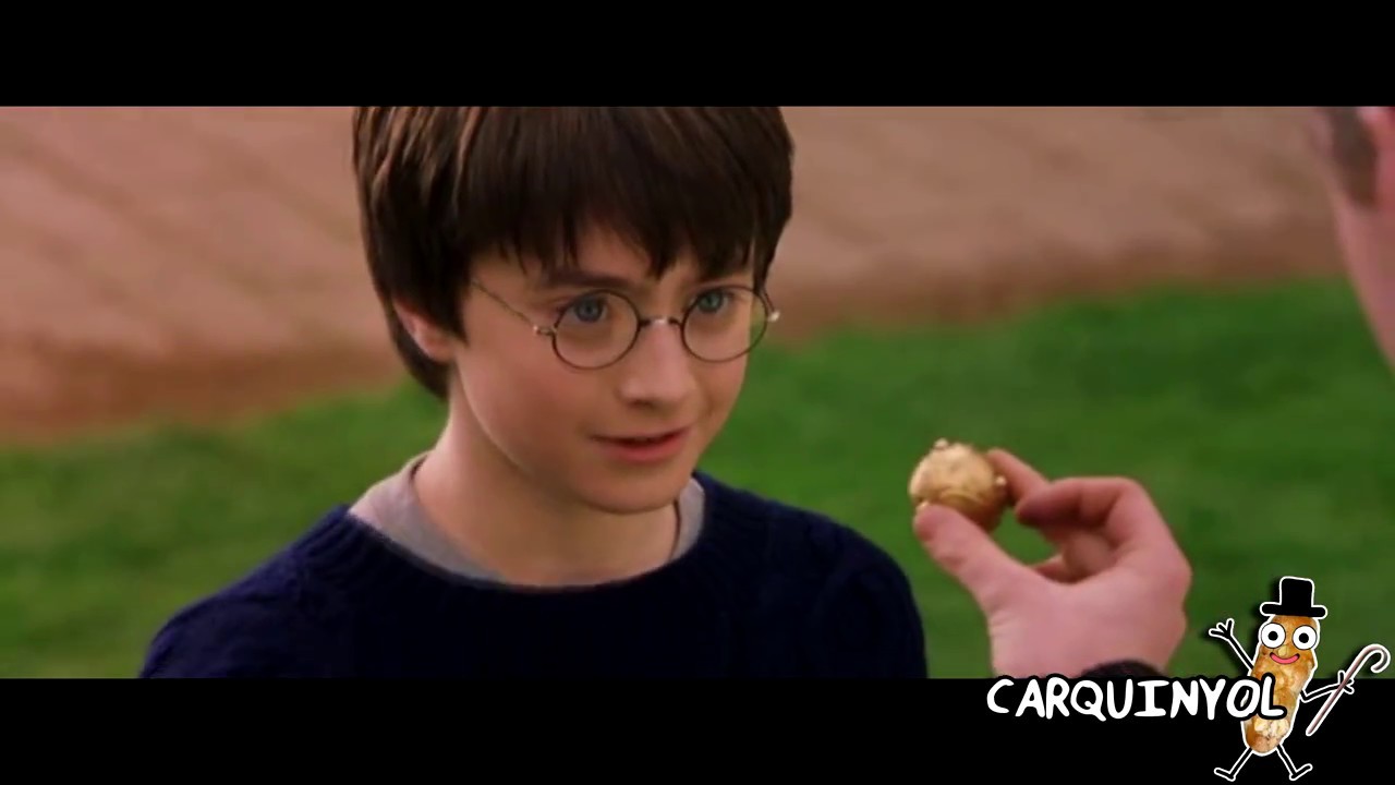 Harry Potter El xiquet aldeano de Marxally