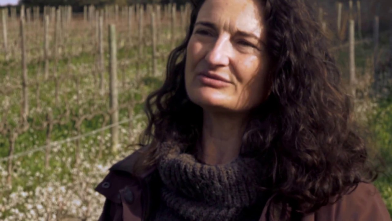 Blanca Ozcáriz. Curs de Viticultura de la Vinya Catalana de Paper i píxels