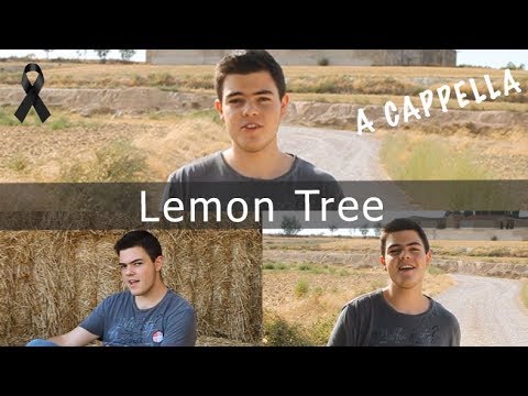 Lemon Tree - Fools Garden - Nil Canals (A Cappella Cover) de GamingCat