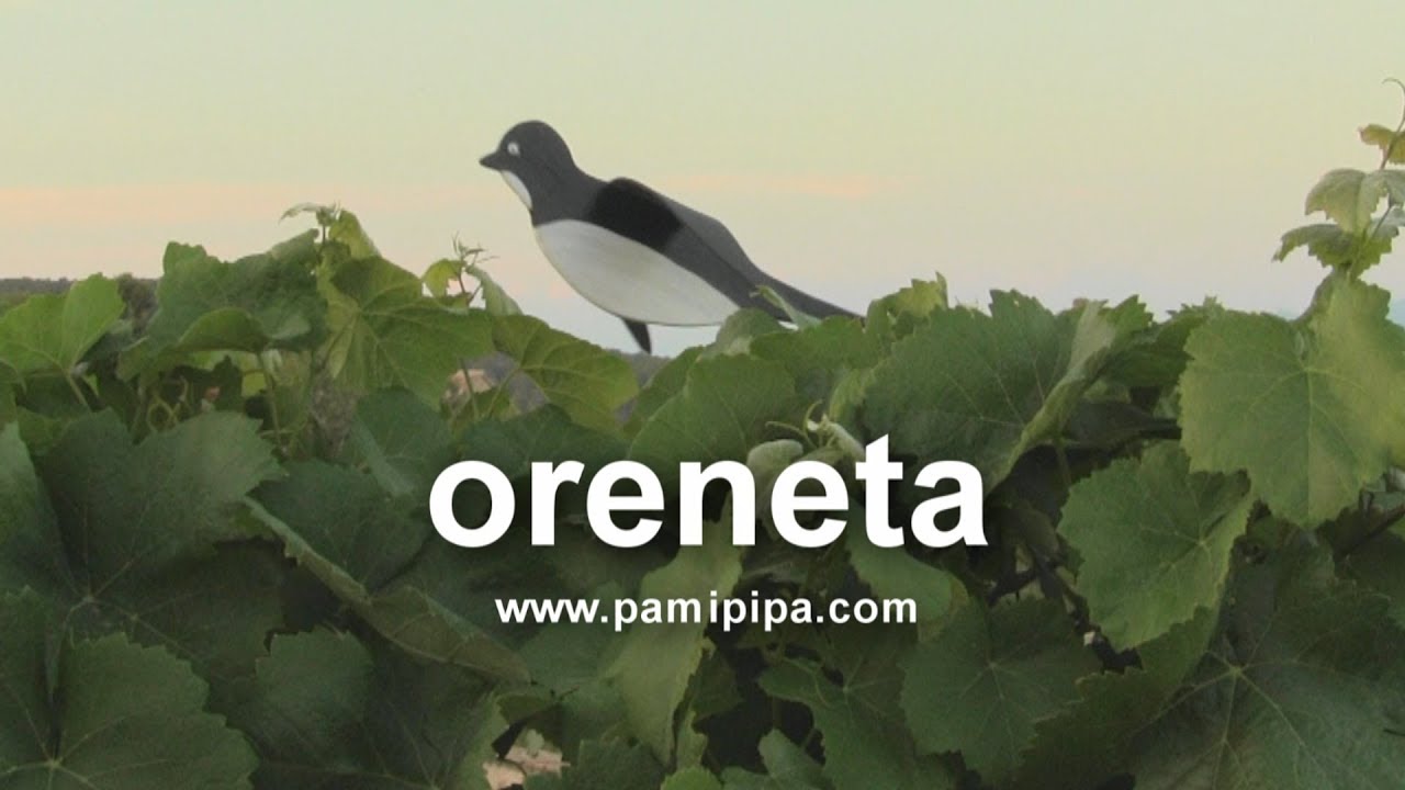 Oreneta 【Vídeo·Clip·Petit·✿】 de Titelles Pamipipa