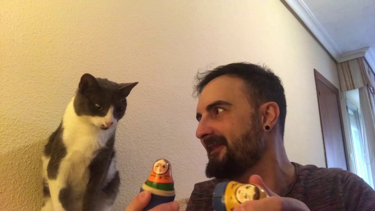 Li ensenye una Nina Russa al gat de Miquel Serrano DE POBLE