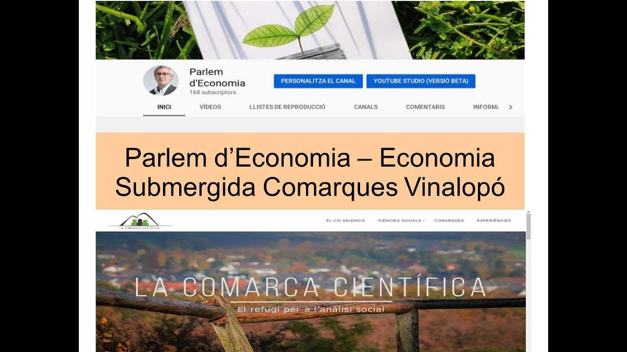 L'Economia Submergida a les Comarques del Vinalopó - La Comarca Científica de ElJugadorEscaldenc