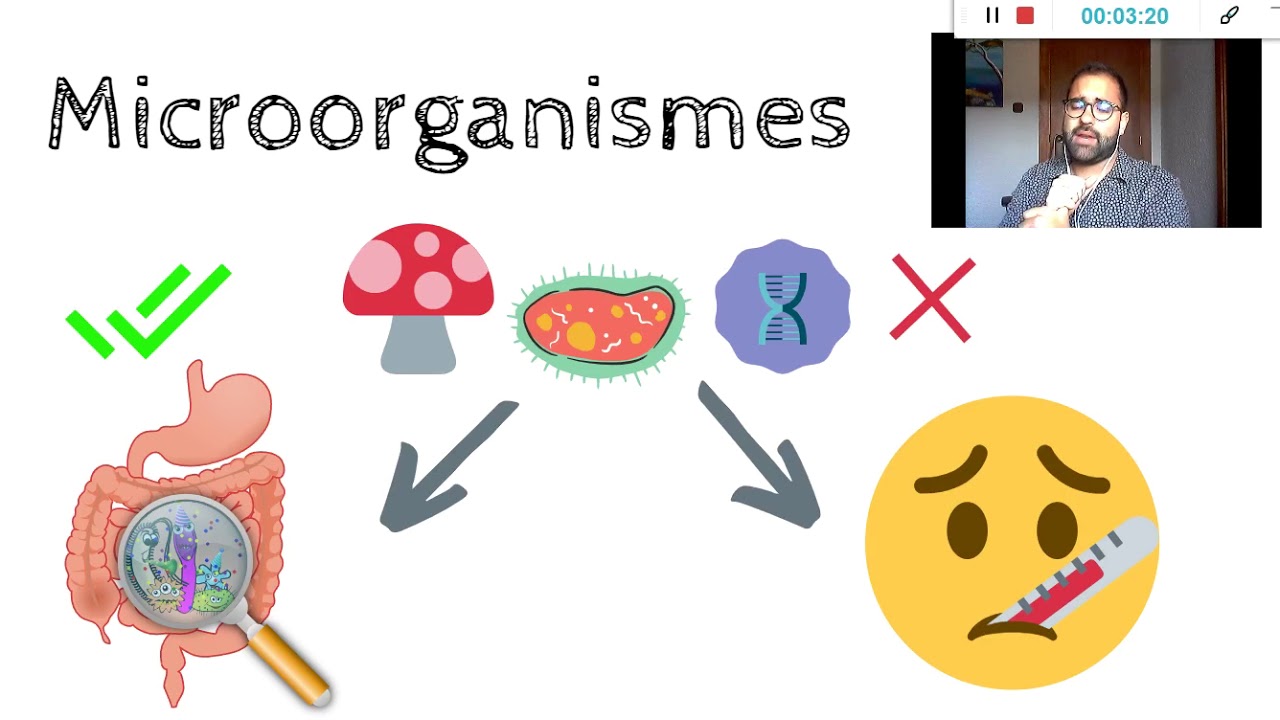 Què és un microorganisme? de Biòleg curiós oficial