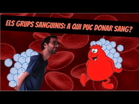 Els grups sanguinis: A qui puc donar sang? de PepinGamers