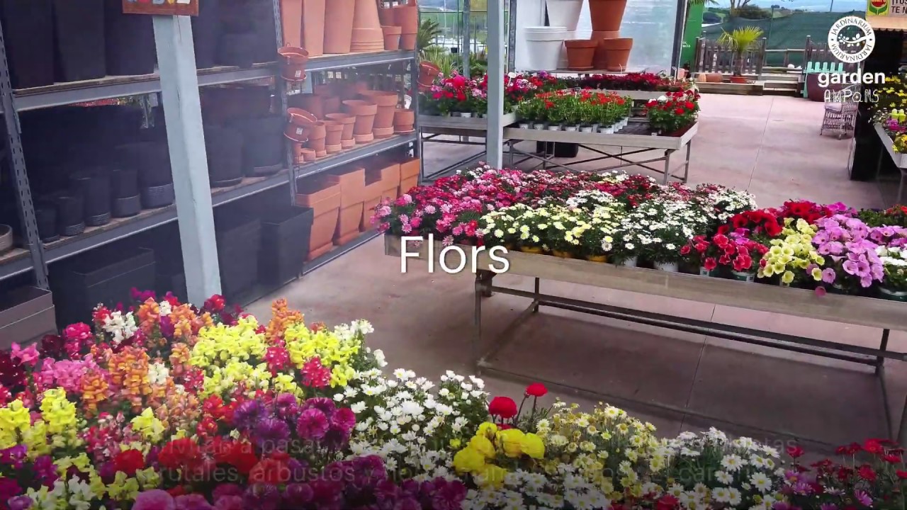 Ara Flors i Plantes! de AMPANS