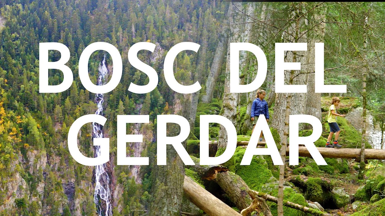 Bosc del Gerdar i Cascada del Gerber de Paraula de Mixa