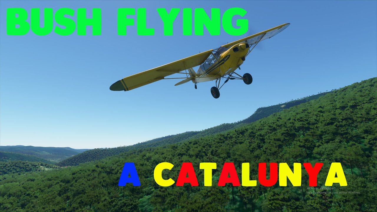 Bush Flying a Catalunya de NintenHype cat