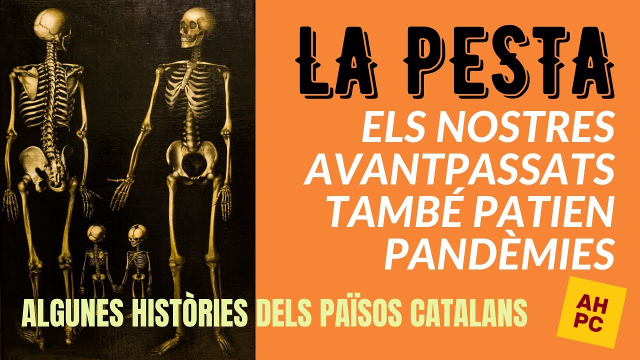 Algunes Històries dels Països Catalans: La Pesta de Patapum Pampam