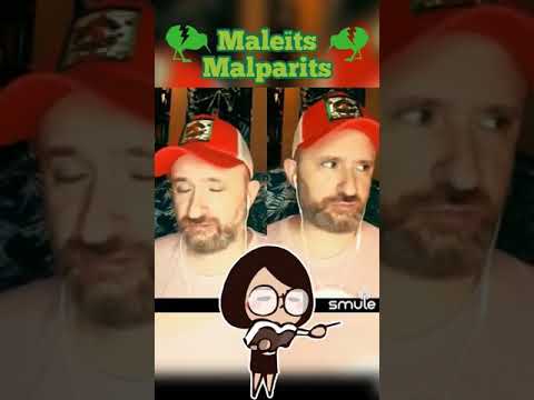 Cançó de lo de les escoles: per a Maleïts Malparits. de JauTV