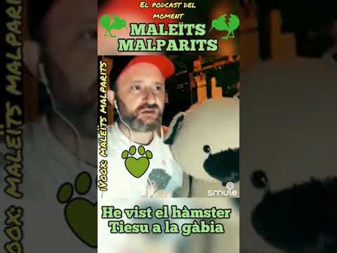 Cançó de lo de les mascotes: per a Maleïts Malparits de JauTV
