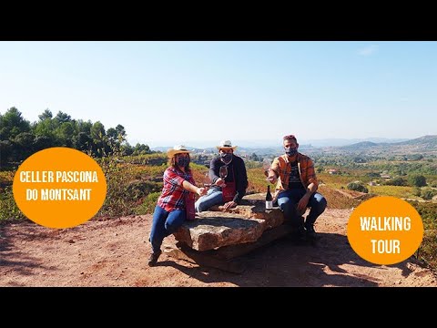Fem el 'Walking Tour' de Pascona a la tardor de Enoturista