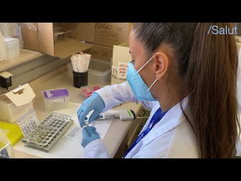 Què és i com es fa una PCR? de icscat