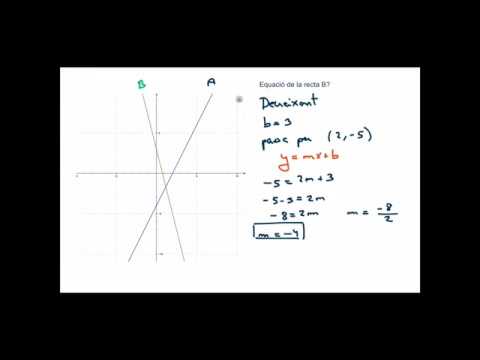 Funció lineal i afí - trobar el pendent i l’equació de la recta de Esther Ginkgobiloba