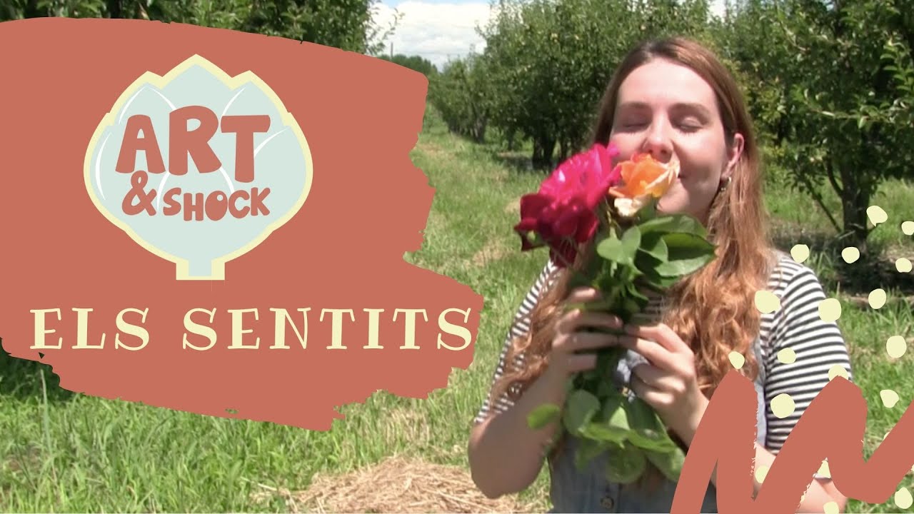 VÍDEOS INFANTILS EN CATALÀ 😋✋🏾👂🏼👁️👃🏿 ELS SENTITS 🌷 - ART&SHOCK de Programa d'ArtiShock