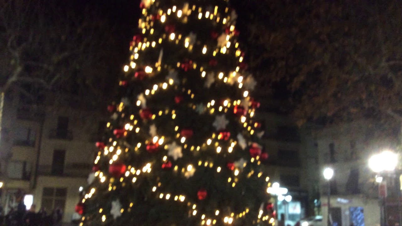 L’arbre d’aquest Nadal, a quatre passes de l’òptica, abans que el vent se l’endugui! de Optica EDO optics