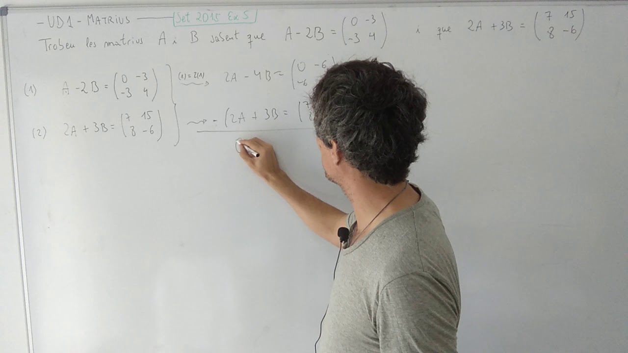 V9. UD-1MATRIUS. Exemple Sistemes d'equacions matricials. de Germán Gil Gonell