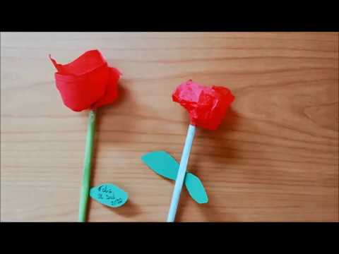 #2 Roses per Sant Jordi de La Bressola A Casa