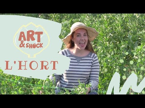 VÍDEOS INFANTILS EN CATALÀ 🍅🌽🥕 L'HORT 👩🏽‍🌾 - ART&SHOCK de Programa d'ArtiShock