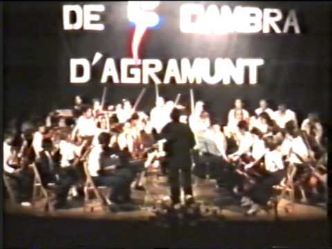 Orquesta de cambra d'Agramunt 1988 (1era Part) de Ricard Bertran Puigpinós
