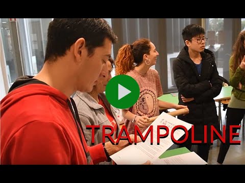 Trampoline, un projecte per a la mobilitat i l'ocupabilitat transfronterera dels joves. de Fundació Catalana de l'Esplai