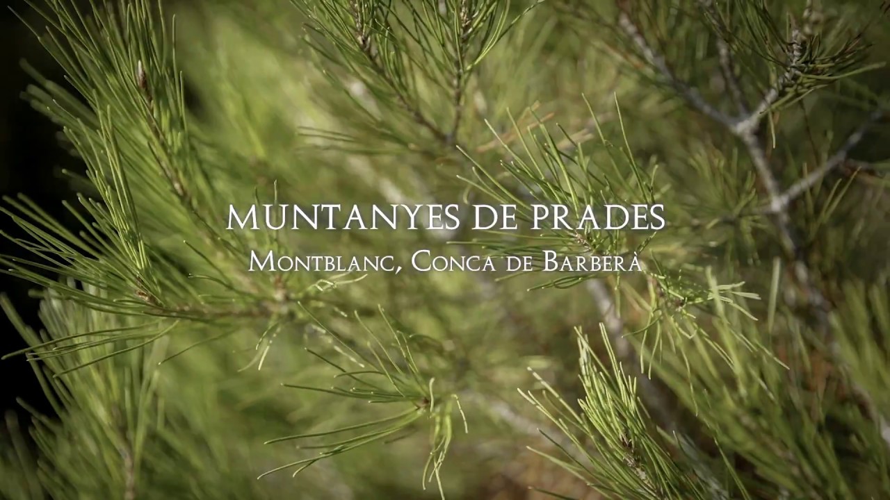 Muntanyes de Prades (Montblanc, Conca de Barberà) de patrimonigencat