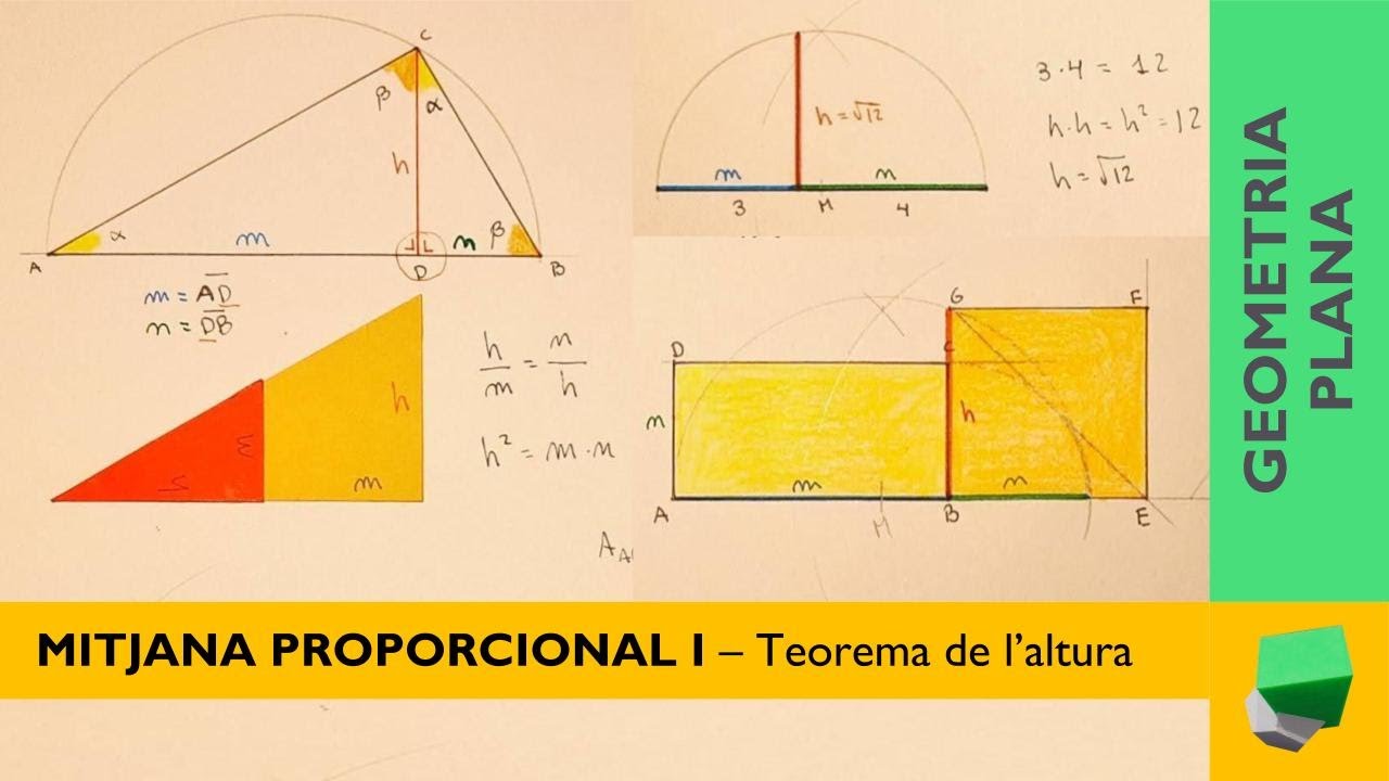 Mitjana proporcional - Teorema altura - Transformacions anamòrfiques de Llengua catalana