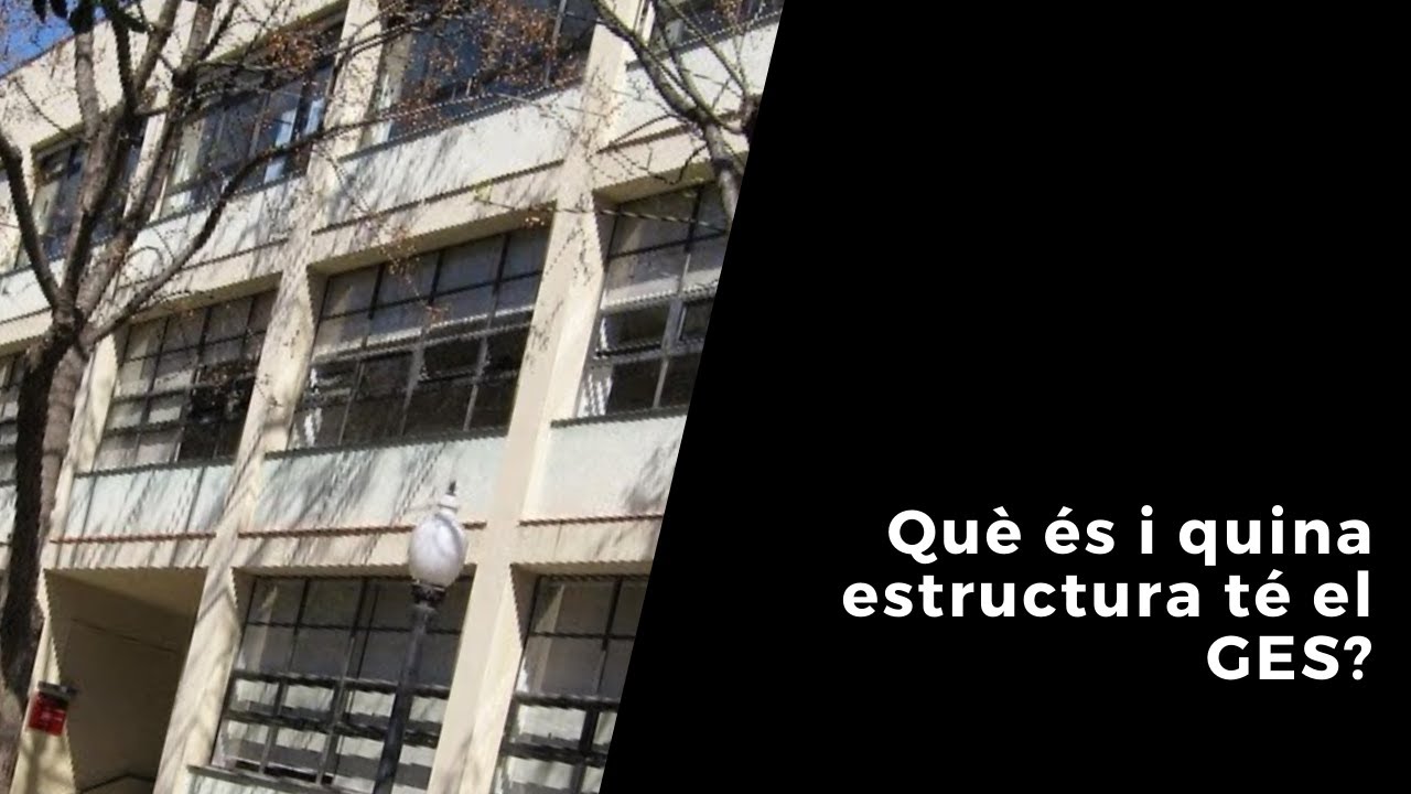 Què és i quina estructura té el GES? de Joan Padrós Rodríguez