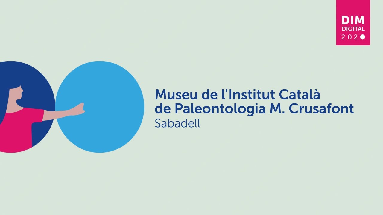 Sabadell - Museu de l'Institut Català de Paleontologia Miquel Crusafont de Vocabulari bàsic en LSC