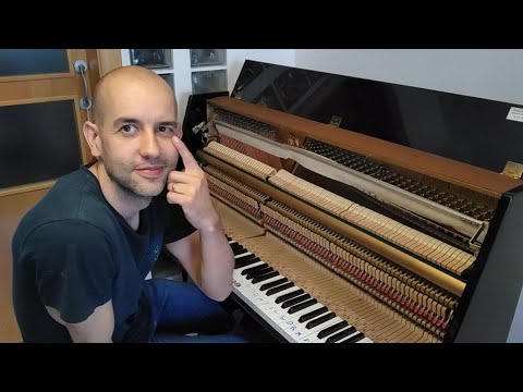 Cóm funcionen els pianos? de David Gonzalez Sanchez