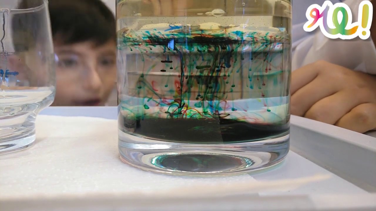 Pluja de colors: experiment amb aigua, oli i colorant de Repte Experimenta