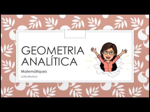 Geometria Analítica: coordenades, vectors i mòdul de Mates en Limori