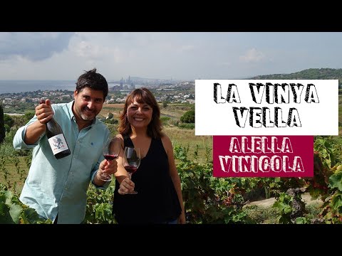 La Vinya Vella 18 d'Alella Vinícola de Enoturista