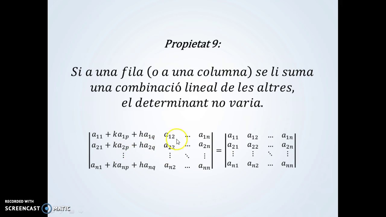 Propietats dels determinants (sense demostracions) de Ricard Agudo Molano